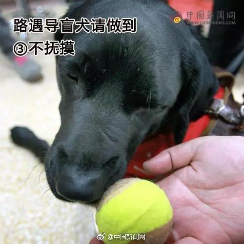 Ը͵äȮͬ𣿰ͬУܾ