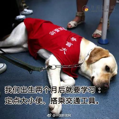 Ը͵äȮͬ𣿰ͬУܾ