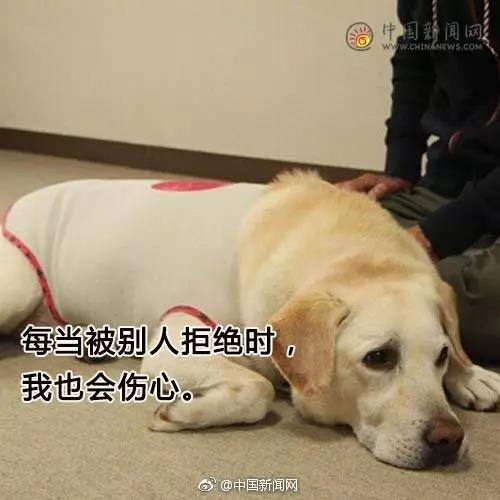 Ը͵äȮͬ𣿰ͬУܾ